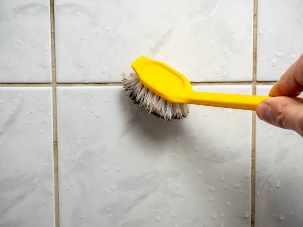 Best Commercial Mold Removal  in North Granby, CT