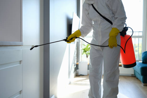 Best Office Mold Removal Services  in North Granby, CT